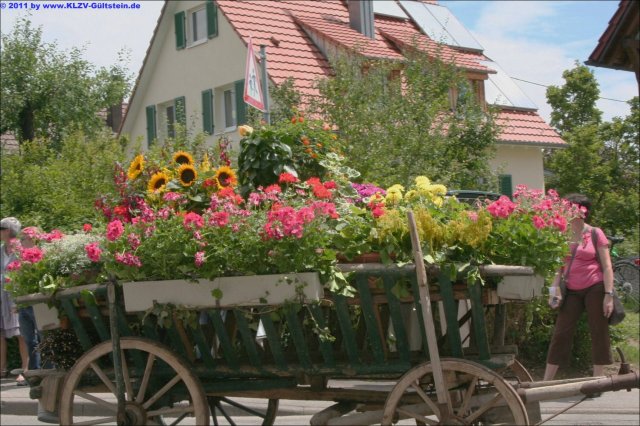 36 OGV Gueltstein2